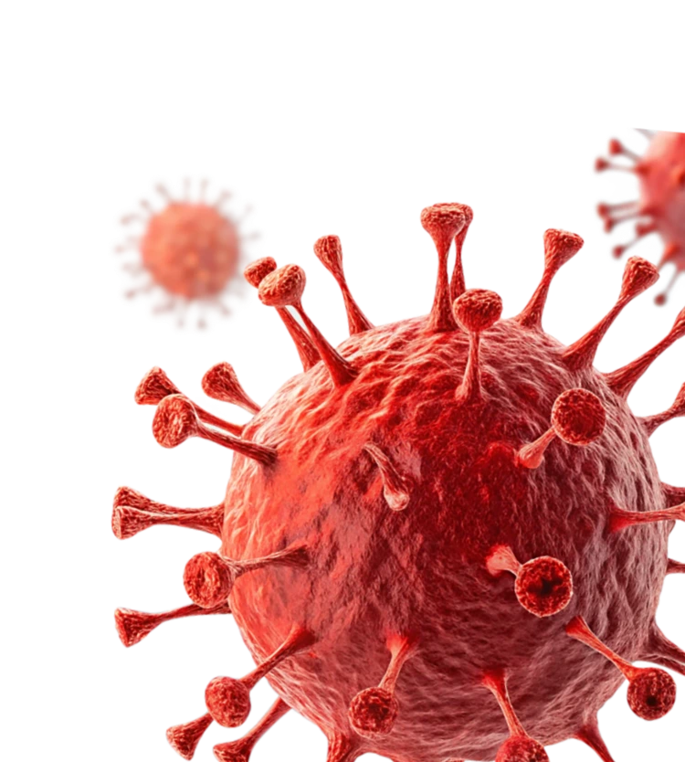 bacteria.webp